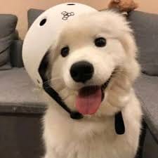 Rizky Hidayat avatar